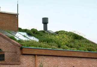 Sustentabilidade: boas escolhas e boas práticas para tornar sua casa mais saudável
