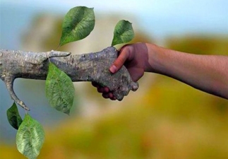 Sustentabilidade na obra: o que isso tem a  ver com o seu bolso?